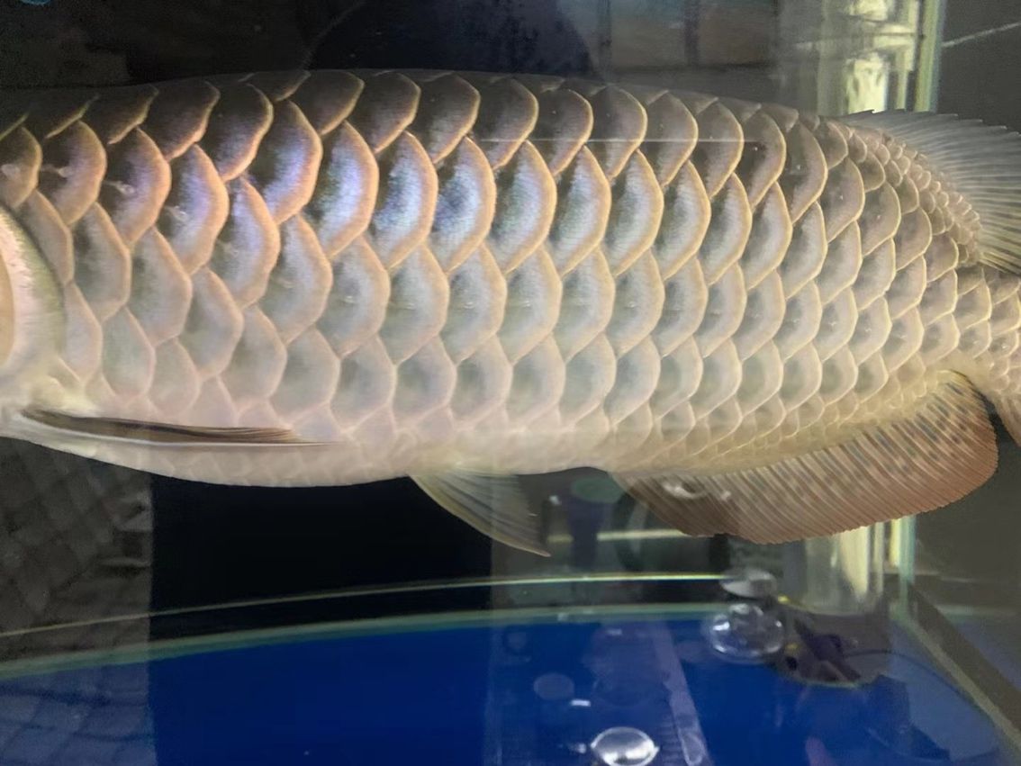 簽到，基于微信小程序的簽到系統設計