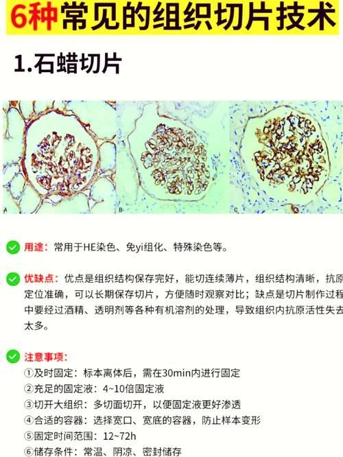 黃粉和甲基藍的用量如何控制，何和甲基藍（甲基藍（甲基藍（methyleneblue）