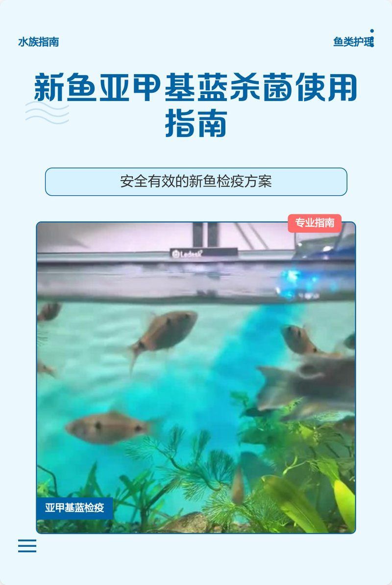 黃粉和甲基藍的用量如何控制，何和甲基藍（甲基藍（甲基藍（methyleneblue）
