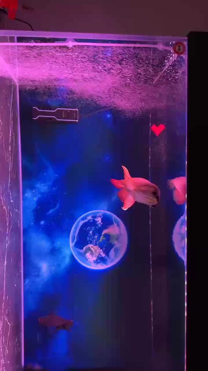 很有意境，a東海龍宮評論：探索自然之美，體驗詩意生活