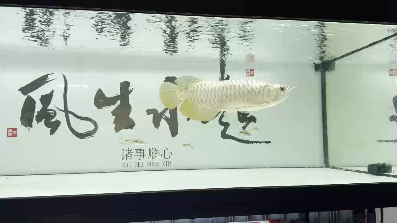 ，一拳一個鷹鷹怪評論：探索未來科技的無限可能，隨著科技的飛速發展 ，一拳一個鷹鷹怪評論：探索未來科技的無限可能，隨著科技的飛速發展 龍魚論壇