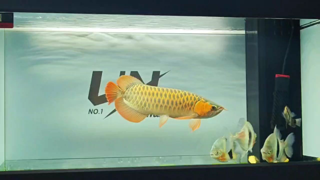 日常打卡，日常打卡是一種怎樣的體驗