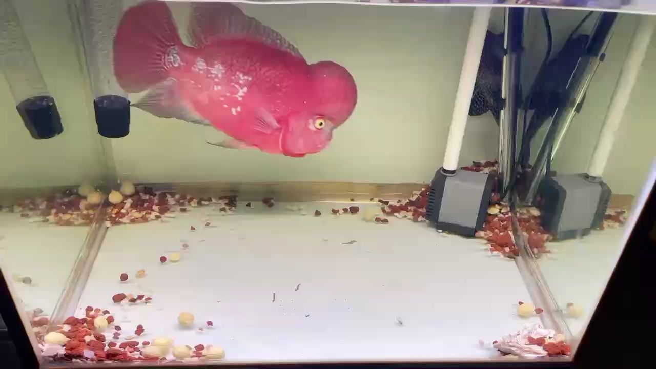 彩虹，彩虹的出現原理