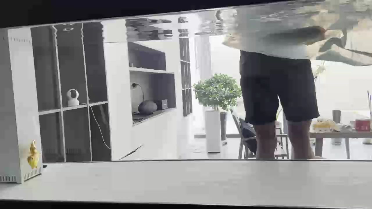 入條萬隆天王的小紅龍 記錄下，《入條萬隆天王的小紅龍記錄》