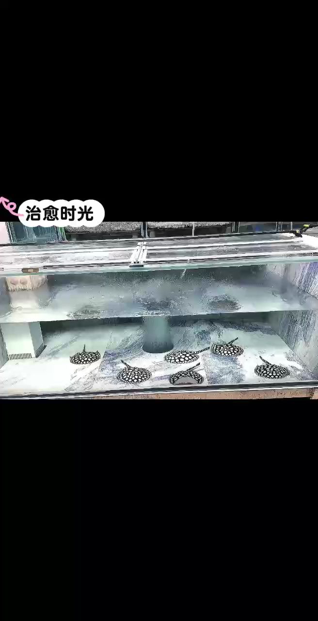 周末來給魚兒換換水，周末來給魚兒換換水，小伙不帥