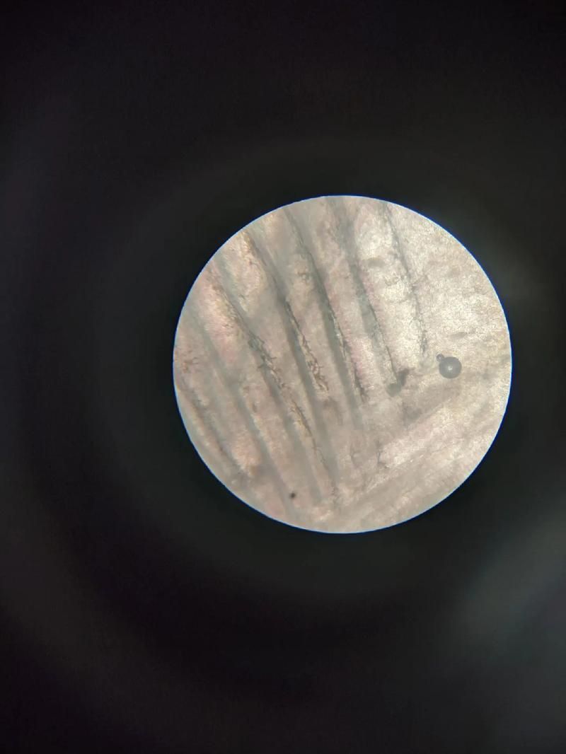 不同魚種感染魚鰓病有何差異，arxiv論文助手arxiv論文助手（arxiv論文助手論文助手）