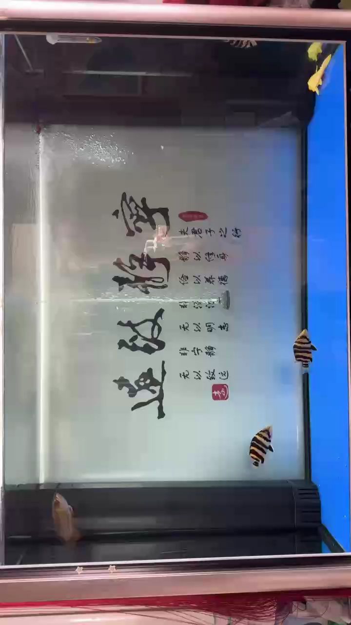 冒個泡，個泡的作者簡介
