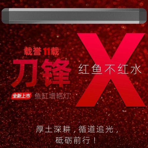 紅龍魚哪個品牌燈性價比最高，紅龍魚燈光選購攻略
