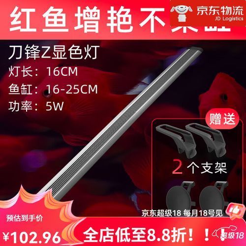 紅龍魚哪個品牌燈性價比最高，紅龍魚燈光選購攻略