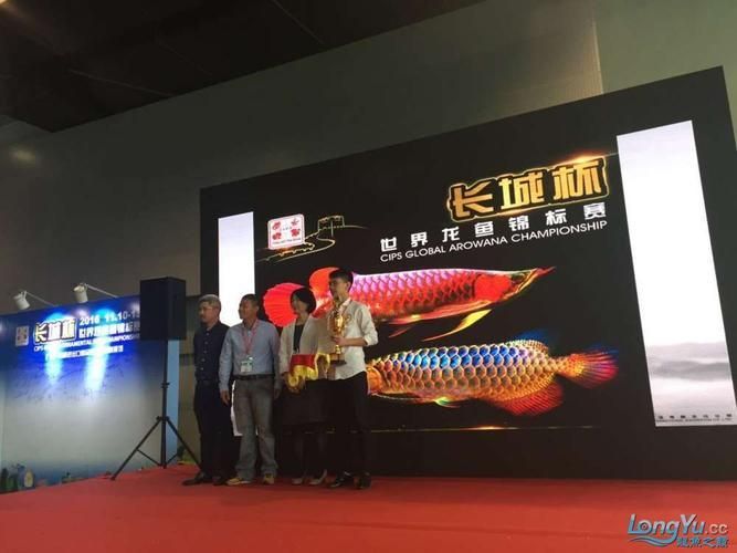 祥龍魚場在CIPS2025有何參展計劃？，cips2025國際寵物水族展覽會