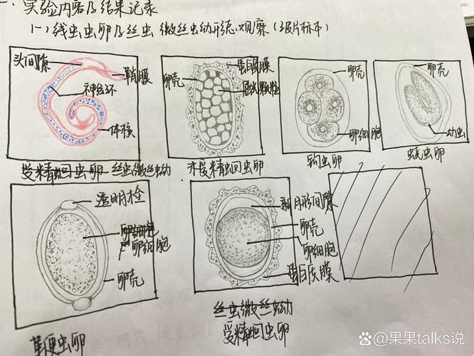 如何預(yù)防鲅魚寄生蟲感染，預(yù)防鲅魚寄生蟲感染