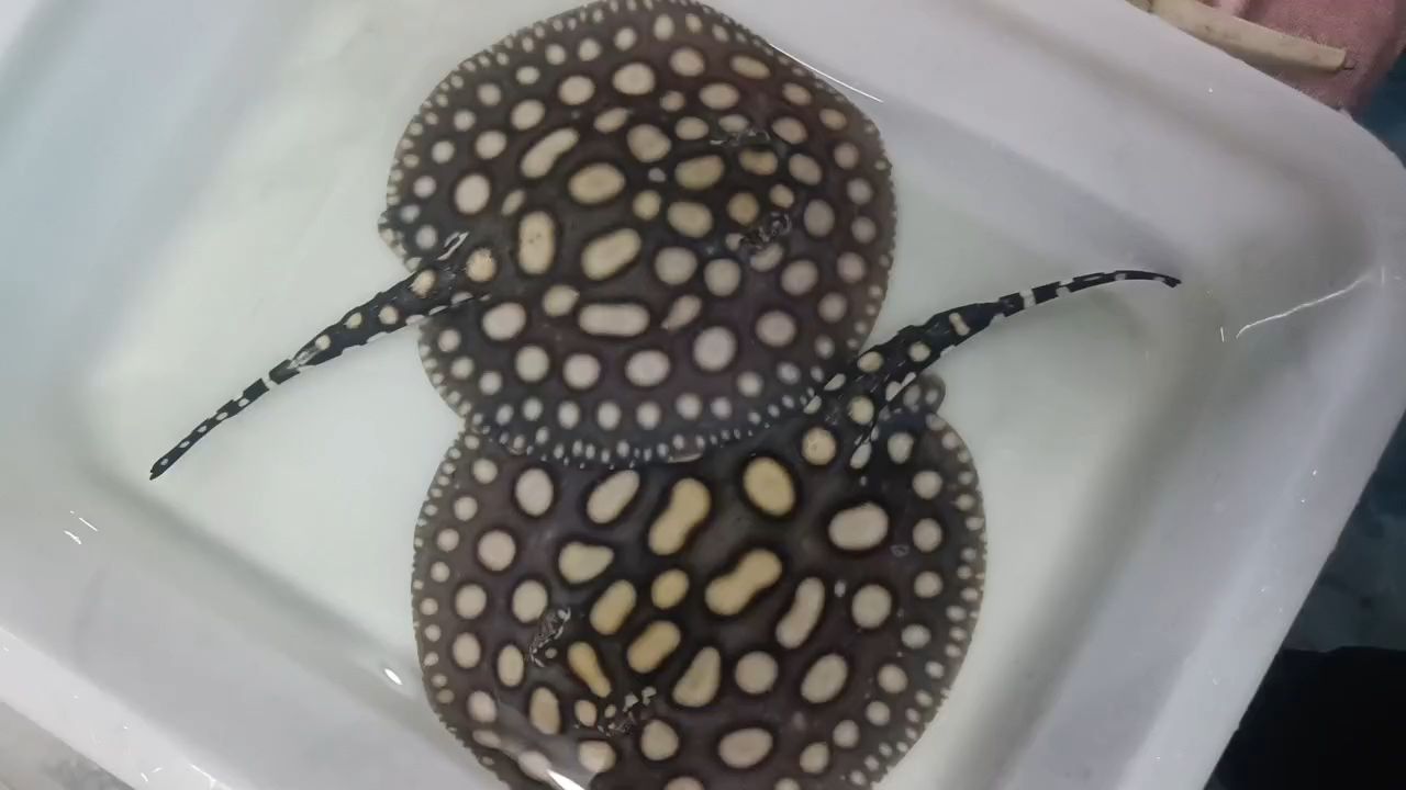 早安，一句早安，讓我們迎來了新的一天