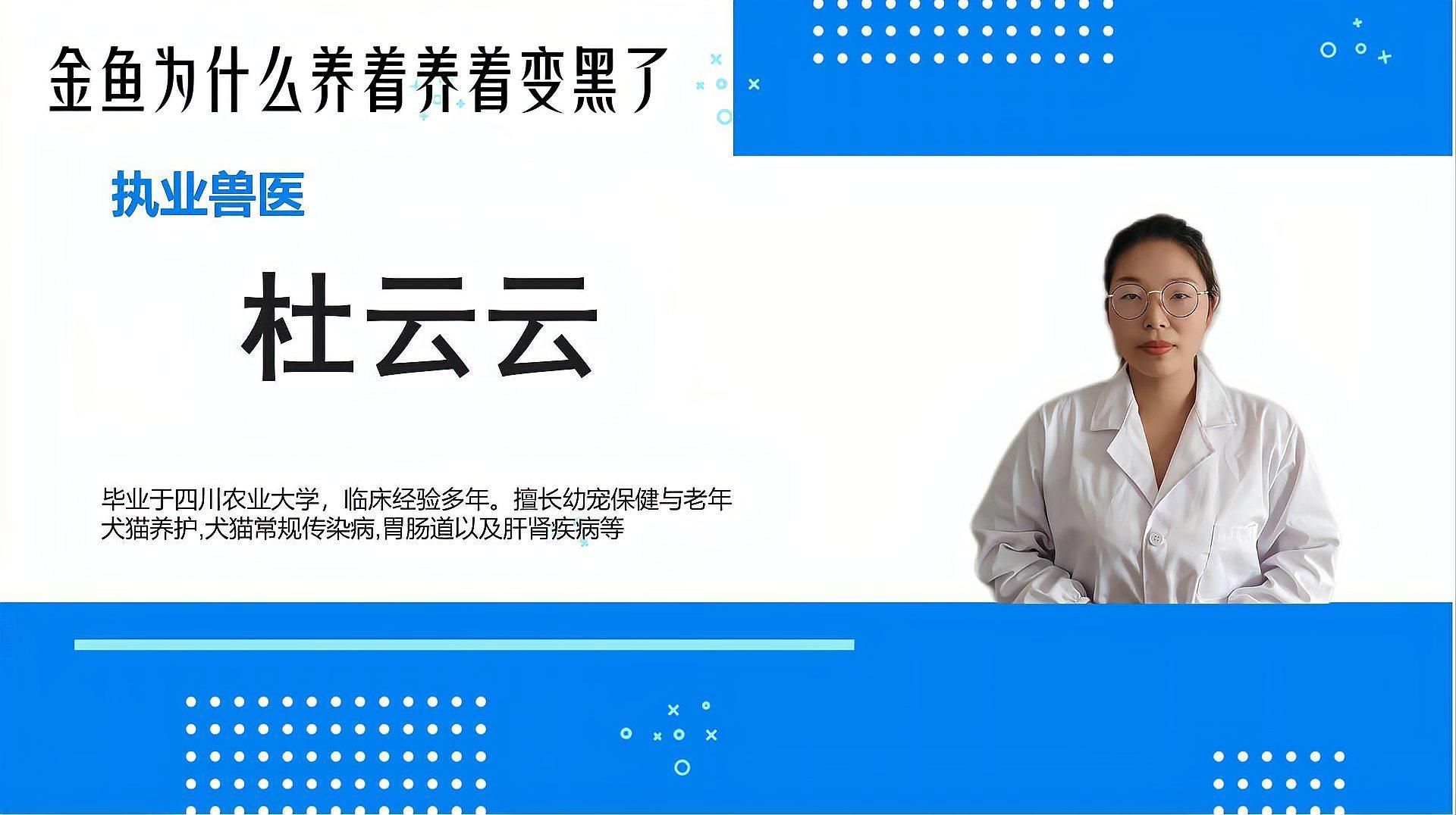 如何判斷金魚發(fā)黑的原因，金魚為什么會發(fā)黑