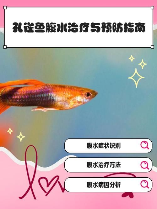 能否提供更多關(guān)于魚腹水的圖片，關(guān)于魚腹水的知識