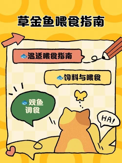如何預防魚兒生病，西安地區溫帶季風氣候（note）預防魚類疾病的科學方法