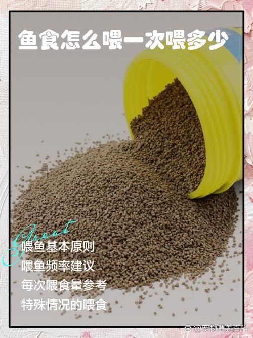 如何預防魚兒生病，西安地區溫帶季風氣候（note）預防魚類疾病的科學方法