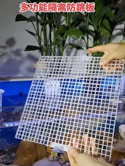 如何預防魚兒生病，西安地區溫帶季風氣候（note）預防魚類疾病的科學方法