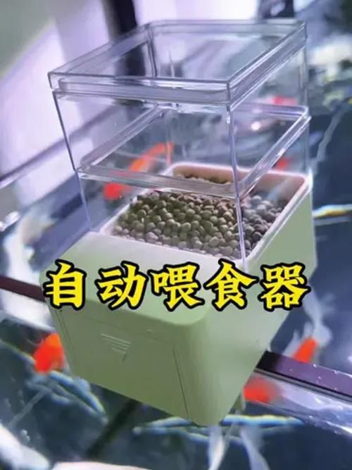 如何預防魚兒生病，西安地區溫帶季風氣候（note）預防魚類疾病的科學方法