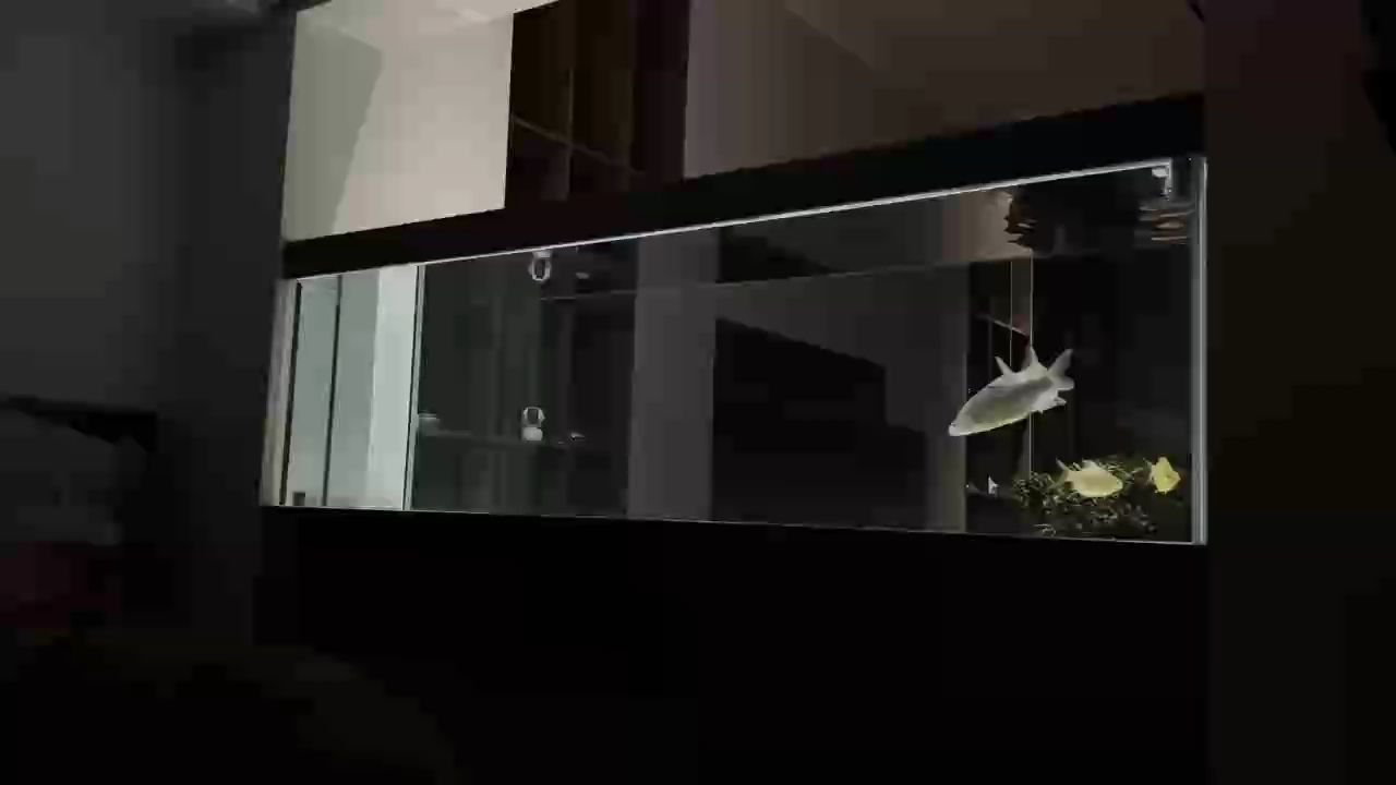 重新養水啦，重新養水啦，隨著季節的更替，水體環境亦需適時調整以保持生態平衡