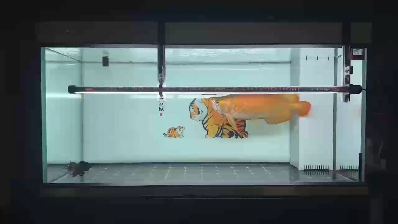 烤，《烤制的藝術與科學》