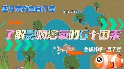 如何增加水中的溶氧量，如何提高水中溶氧量