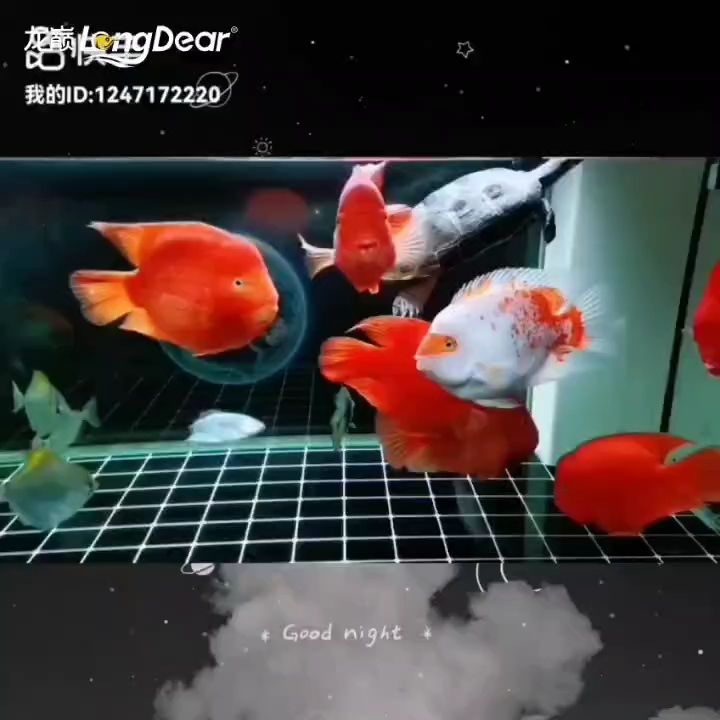 事事順遂，會越來越好，南無阿彌陀佛??????，南無阿彌陀佛