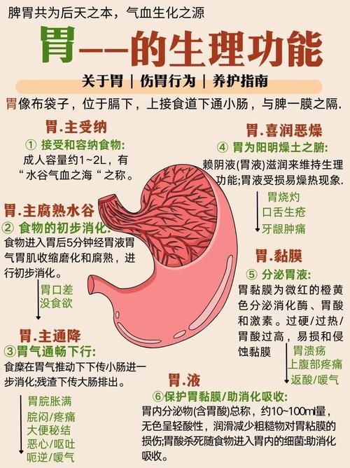能再詳細(xì)分析幾個(gè)拒食原因嗎，厭深入探討拒食現(xiàn)象