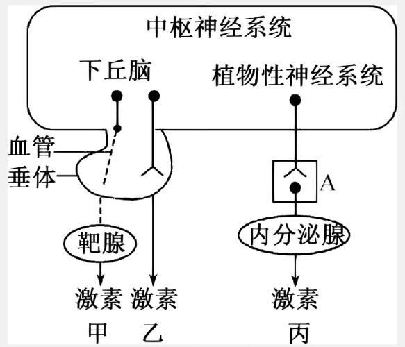 能再詳細(xì)分析幾個(gè)拒食原因嗎，厭深入探討拒食現(xiàn)象