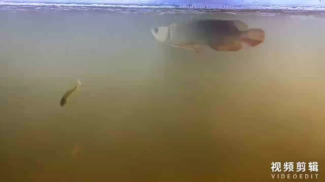 每天打卡，打卡文化對個人成長和社會發展的積極影響