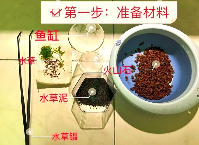 如何科學(xué)飼養(yǎng)火龍魚蠑螈，火龍魚蠑螈的飼養(yǎng)方法
