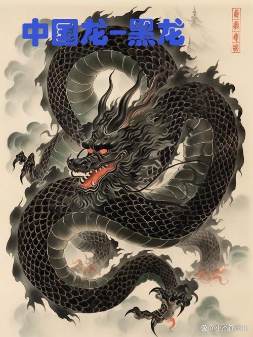 能否提供更多關(guān)于黑龍的圖片，關(guān)于黑龍的圖片特征和可能的視覺(jué)內(nèi)容
