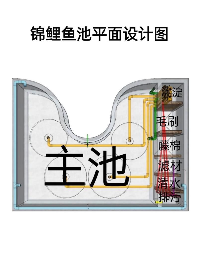 如何預防錦鯉浮頭，錦鯉浮頭是錦鯉浮頭的科學成因與系統性預防措施包括