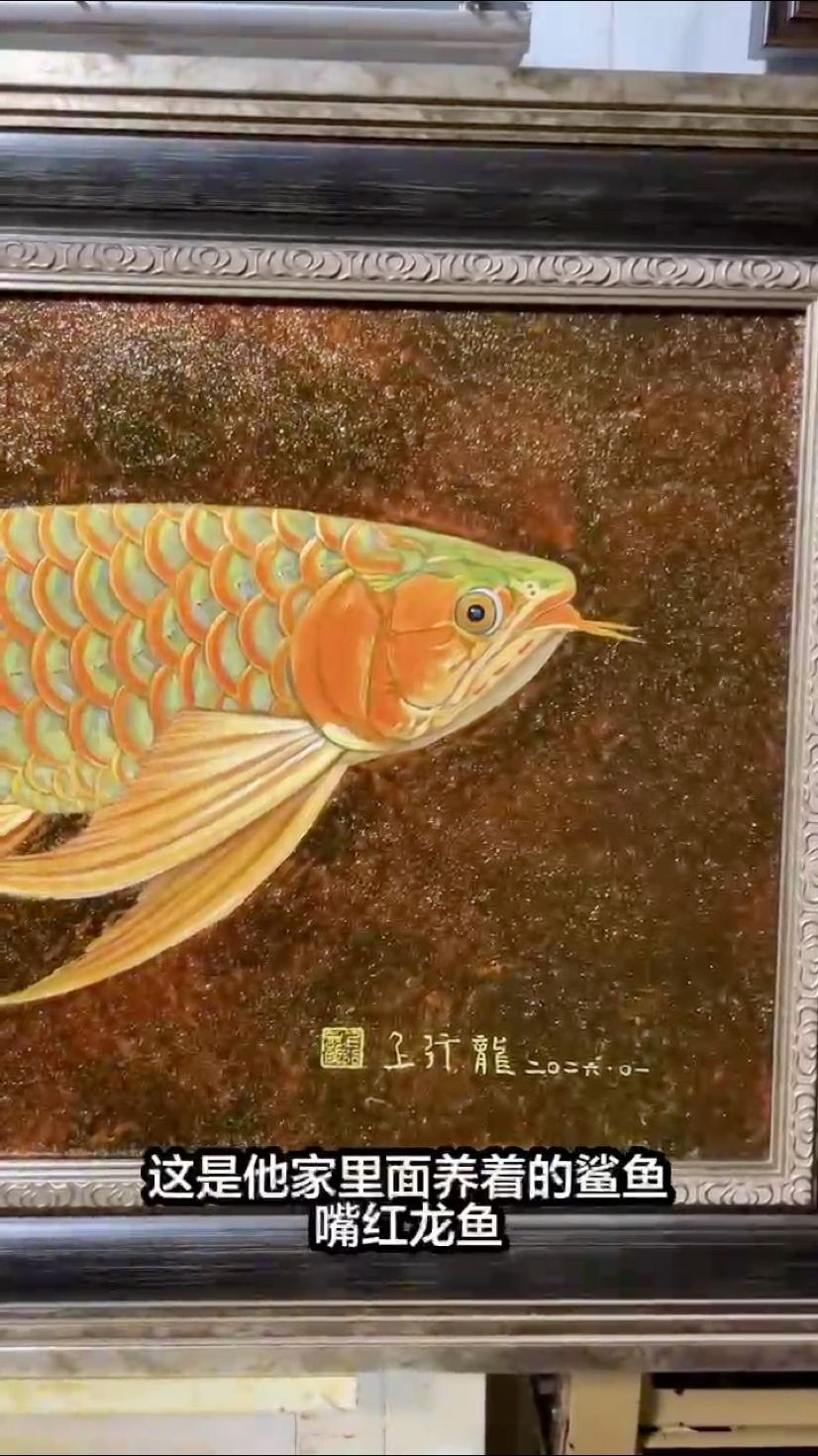鯊魚(yú)嘴畫(huà)好了，今晚打包發(fā)出！，皓月易評(píng)論：鯊魚(yú)嘴畫(huà)好了，今晚打包發(fā)出