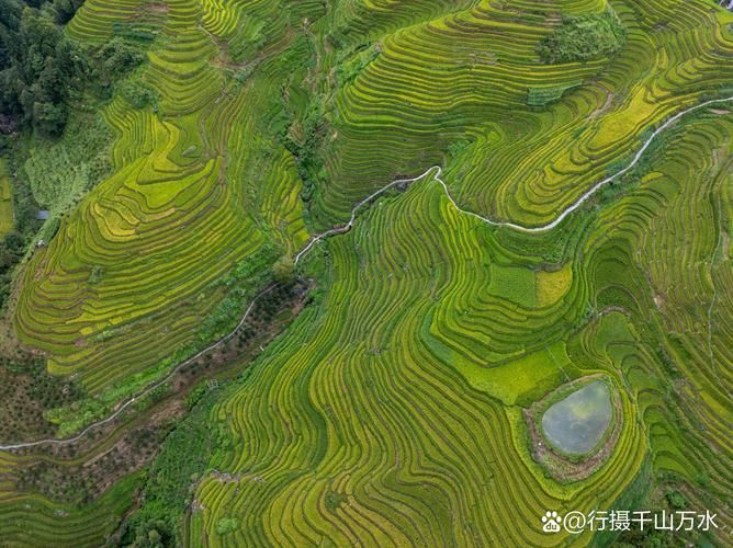 有哪些著名的生龍地形案例，“生龍地形案例詳解“生龍地形”并非地質學術語并非地質學術語