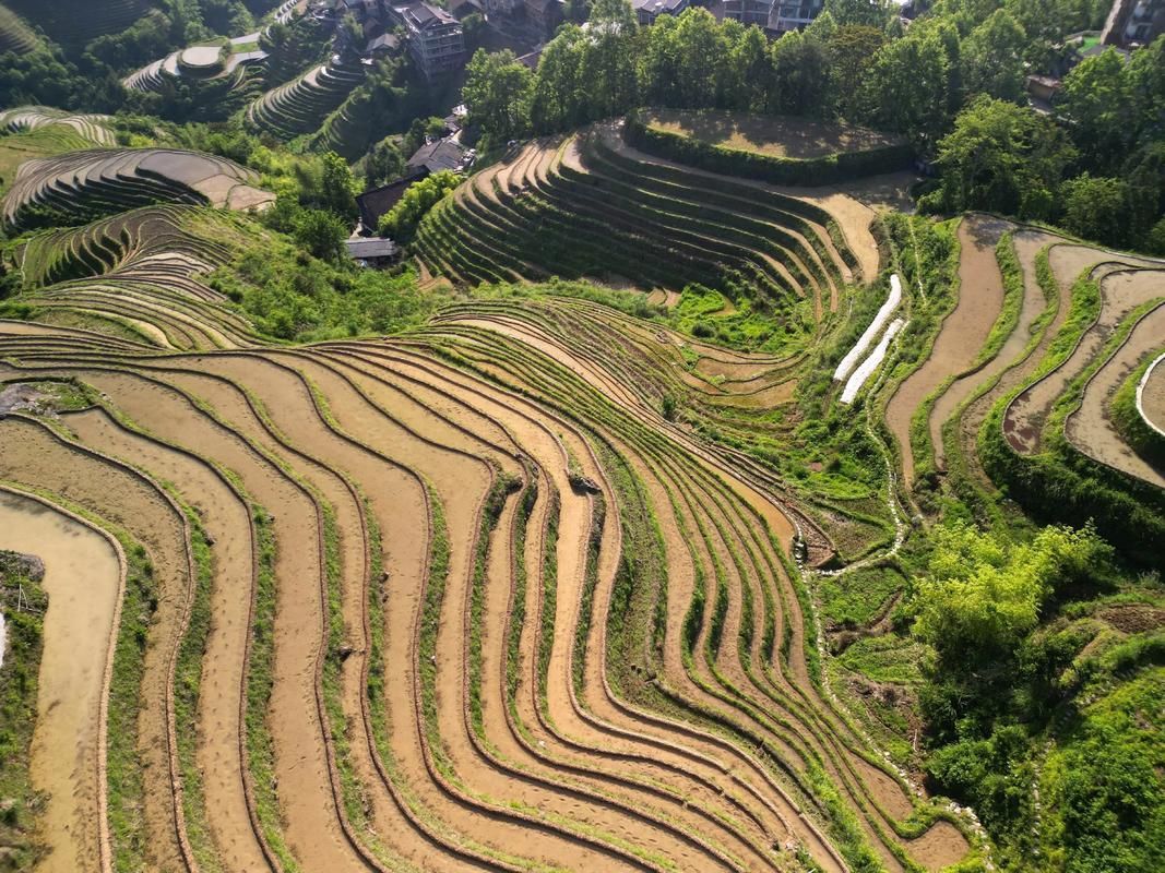 有哪些著名的生龍地形案例，“生龍地形案例詳解“生龍地形”并非地質學術語并非地質學術語