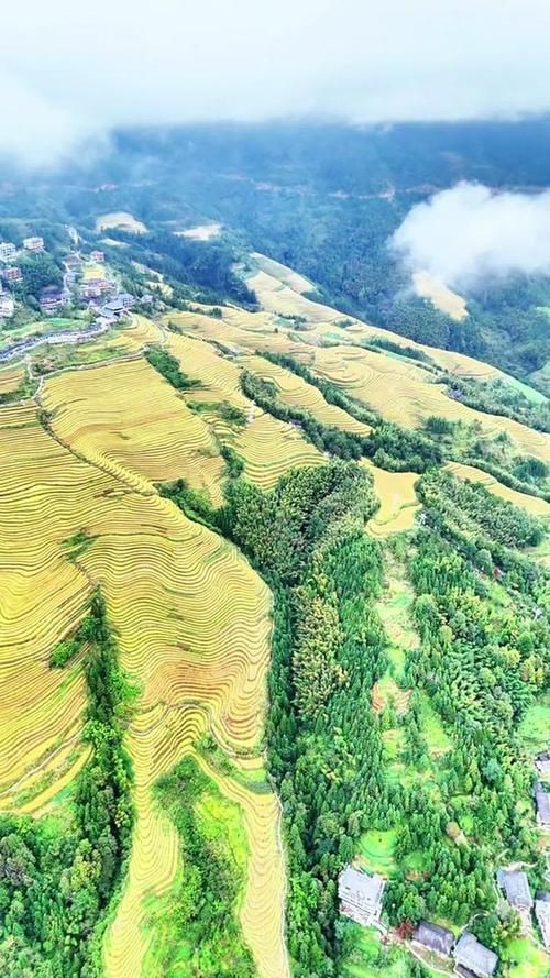 有哪些著名的生龍地形案例，“生龍地形案例詳解“生龍地形”并非地質學術語并非地質學術語