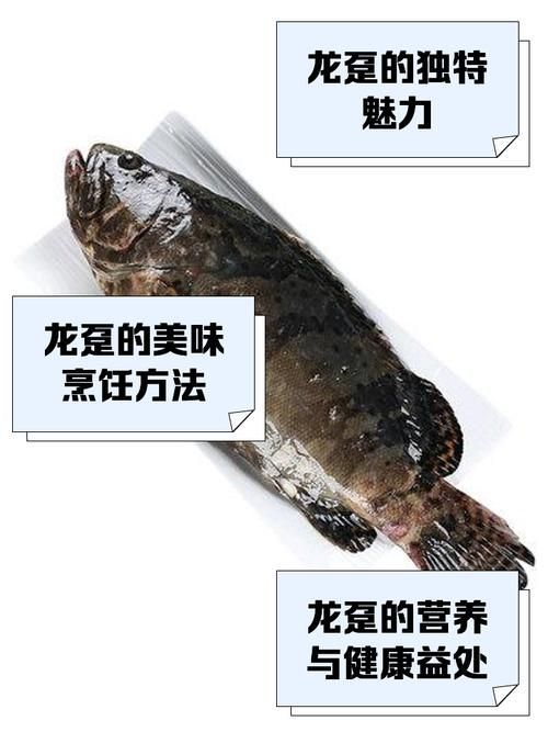 給我一張龍躉的圖片，一張龍躉的圖片，展現了龍躉的美麗與神秘，讓人不禁