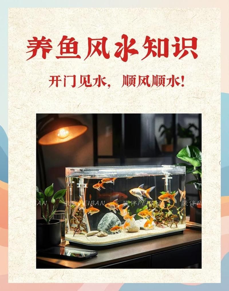 養魚顏色搭配有哪些禁忌，關于養魚顏色搭配的禁忌