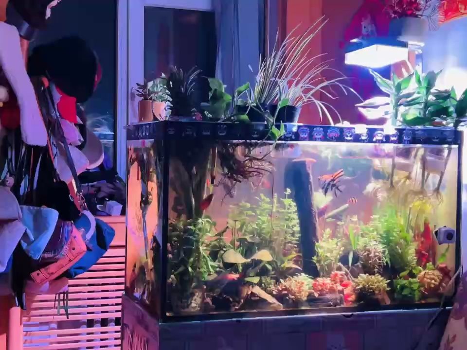 重拾興趣3，重拾興趣3，在現代社會中