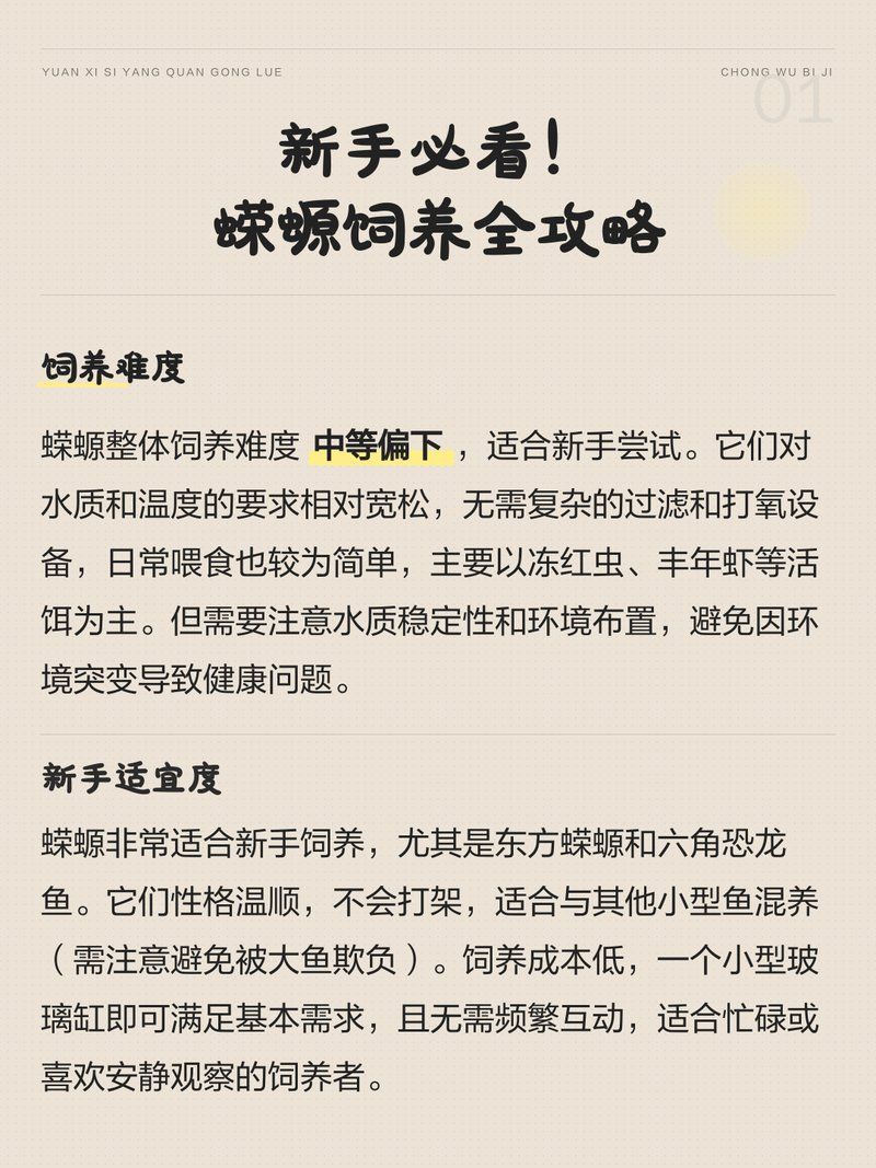 養蠑螈需要準備哪些工具，蠑螈飼養全攻略