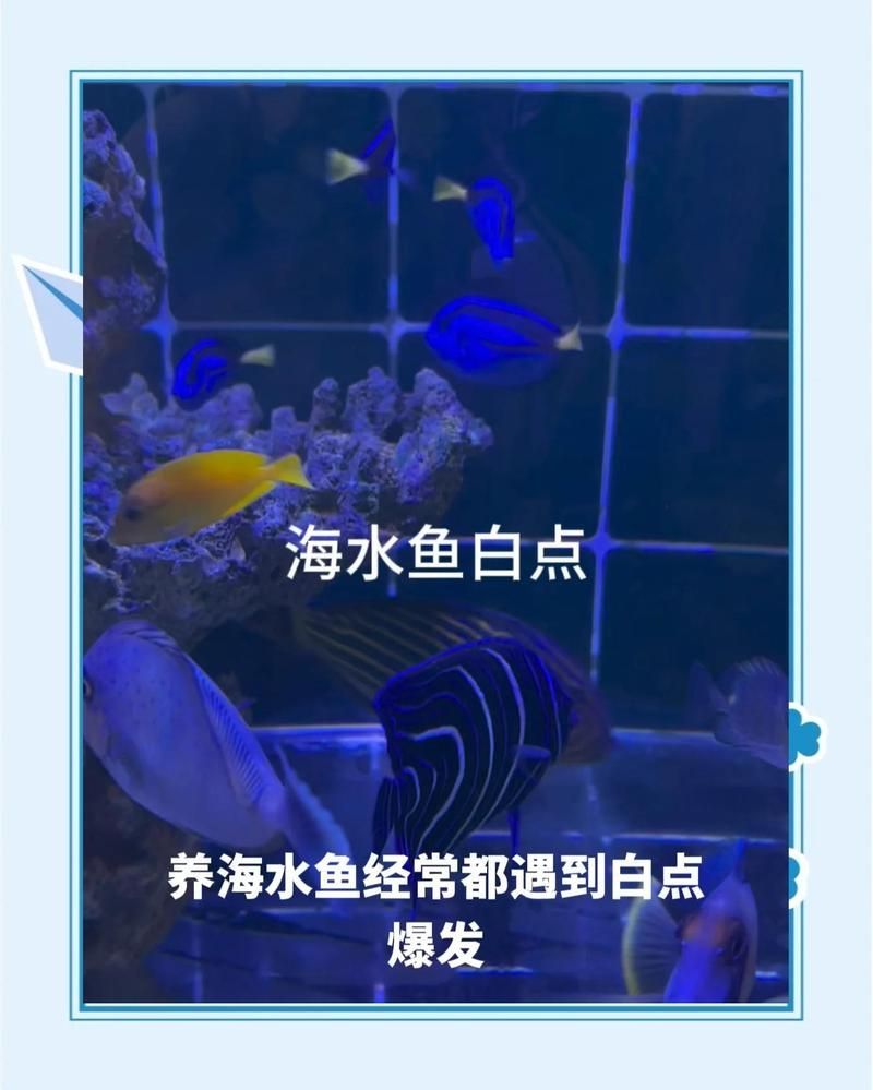 有哪些藥物是海水魚專用但未列出，關(guān)于海水魚專用藥