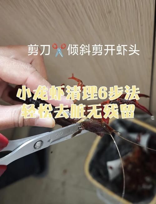 廣東人如何烹飪龍魚土龍，人烹飪龍魚土龍（一種傳統(tǒng)烹飪封口技巧和調(diào)味方法”