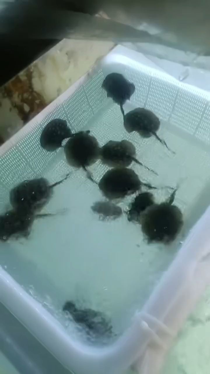 早安，\