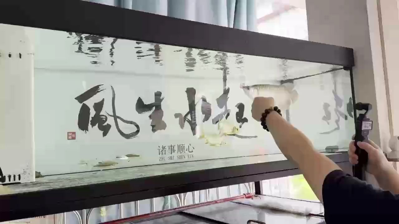 ，_小金龍評論：人工智能在教育領域的應用