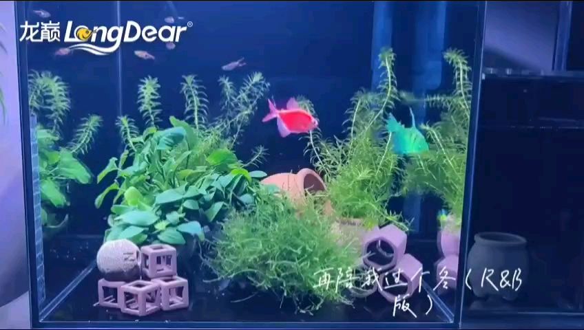轉發985，“985工程”面臨挑戰