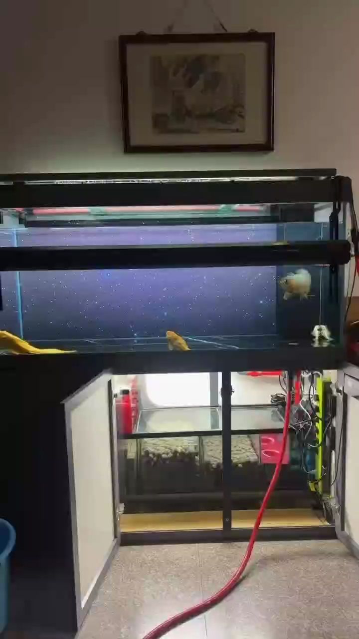 手搓換水不停泵，“手搓換水不停泵”背后的技術原理和實際應用和實際應用