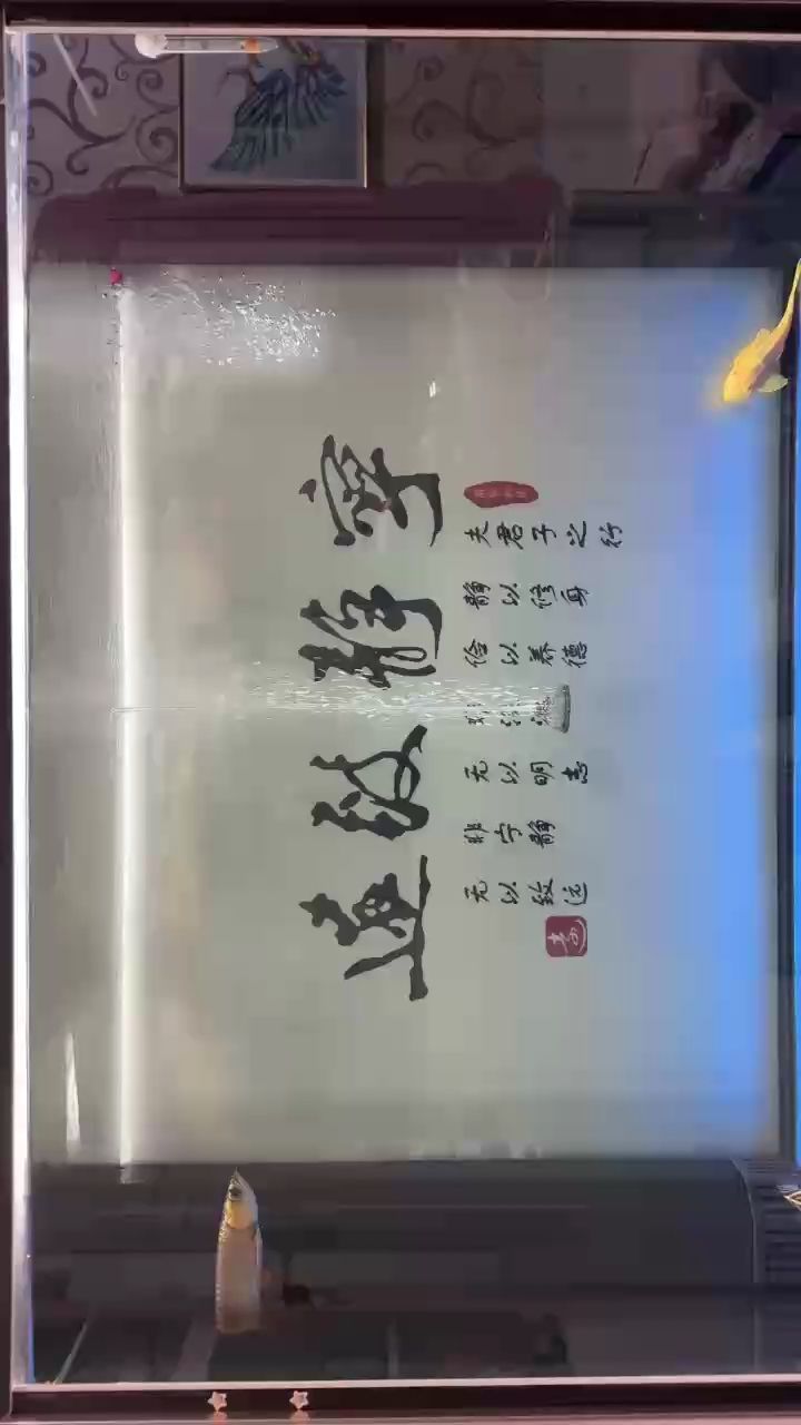 關(guān)燈前，記錄一下，關(guān)燈前的記錄
