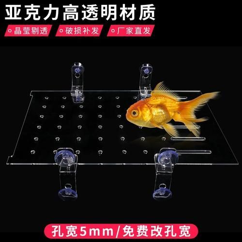 魚咬魚怎么辦最快最有效，中國水產(chǎn)科學(xué)研究院指出“1000字+配圖”最快應(yīng)對(duì)方案