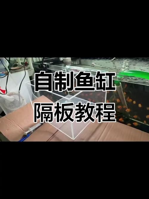 魚咬魚怎么辦最快最有效，中國水產(chǎn)科學(xué)研究院指出“1000字+配圖”最快應(yīng)對(duì)方案