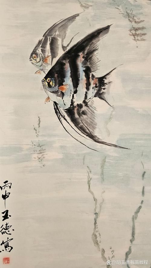觀賞魚視頻大全視頻高清，觀賞魚視頻大全